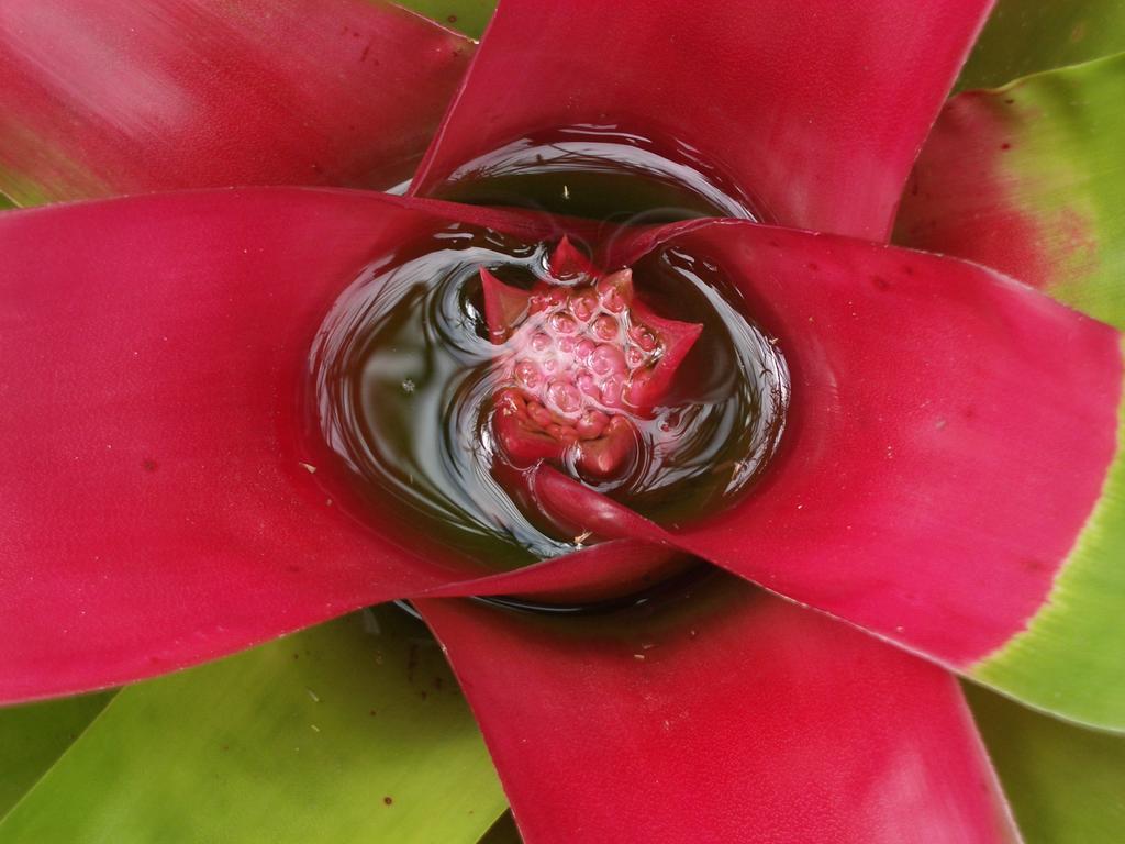 Pousada Oasis Ilha Grande المظهر الخارجي الصورة